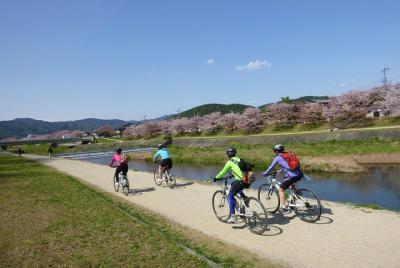 Excursión en bicicleta por Kioto para grupos pequeños