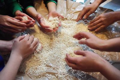 ¡Mejora tu inmunidad! Experimenta el okara miso hecho a mano con 