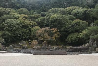 Inmersión en el jardín zen de Kioto