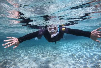 Para uso exclusivo! Plan de snorkel [Chop de gorila de la prefect