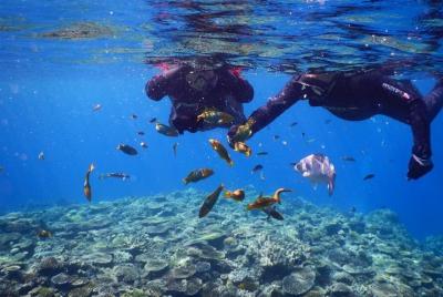 [Isla principal de Okinawa, Motobu-cho, Minnashima y Sesokojima] 