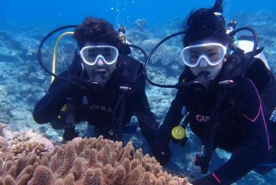 [Ciudad principal de Motobu de la isla de Okinawa] Buceador en la