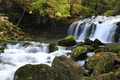 Conserve la hermosa naturaleza de Tateshina en un tour guiado a p