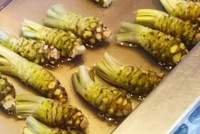 Wasabi Farm Discovery - Tour privado