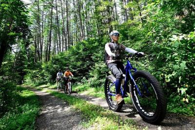 Secret Forest Road y Abandoned Village Fat Bike Tour