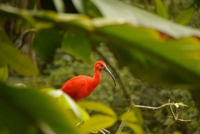 Lugares turísticos en Nago Cosas que hacer en Nago 188170