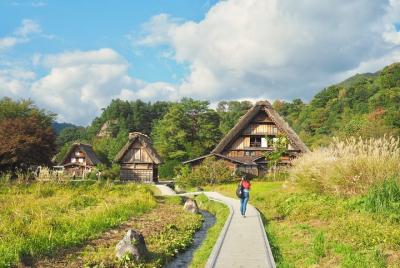 Desde Nagoya: Gujo Hachiman y Shirakawago Tour de 1 día con almue