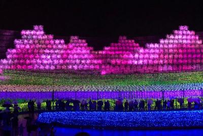 Excursión de medio día para disfrutar de la mayor iluminación y s