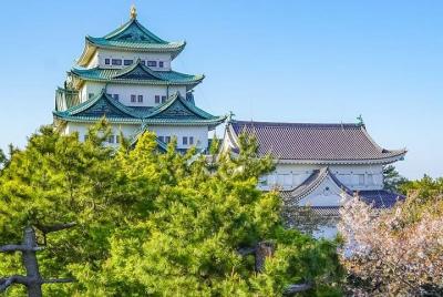 Tour privado: debe visitar lugares en Nagoya, ¡ver todos los luga