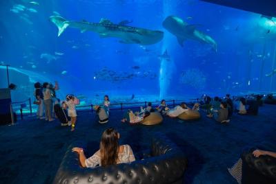 [En servicio] Recorrido E de 1 día en Okinawa Hip Hop Bus