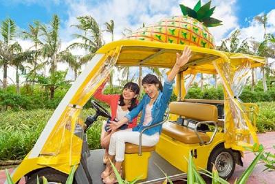 Okinawa Hip Hop Bus 1 día Tour A Curso