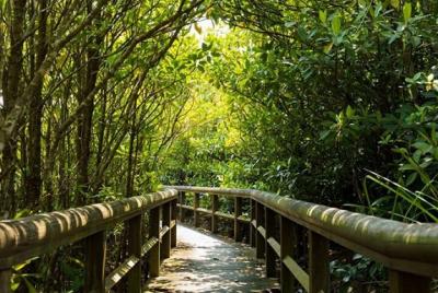 Recorrido por el curso C del autobús hip-hop de Okinawa a la isla