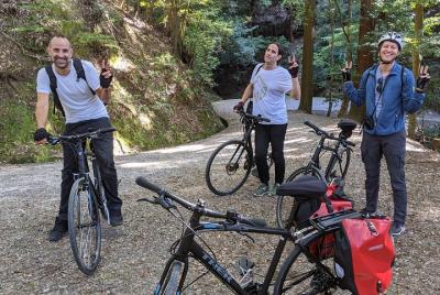 Nara: recorrido en bicicleta por el corazón de la naturaleza