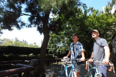 Ruta dorada de Osaka Tour en bicicleta (lote reservado, gracias)