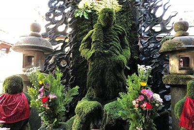 Tour de Osaka Early Bird