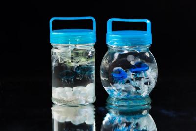 Kaiyukan solamente! ! Experiencia hecha a mano de medusa