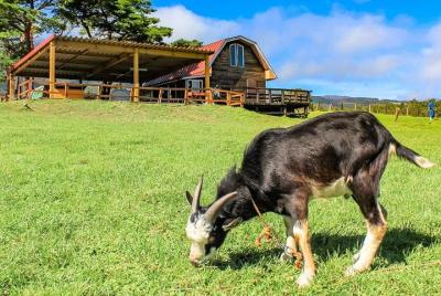 Tour privado: artesanía, aguas termales, gracias por la generosid