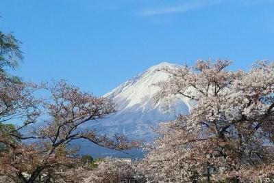 monte Fuji, visita a la que pertenecen todos los japoneses (excur