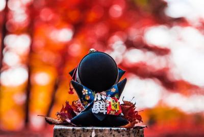 Tour fotográfico para grupos pequeños en Takayama