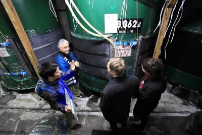 Visita a la cervecería Sake y degustación en Hida