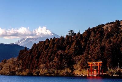 Tour privado de Hakone - Vista del monte. Fuji, naturaleza y cult