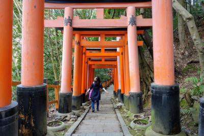 Explore Japan Tour: grupo pequeño de 20 días Explore Japan Tour: grupo pequeño de 20 días