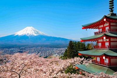 Excursión personalizada de Mt Fuji Private con conductor de habla