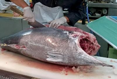 Tour privado a pie por Tokio con un viaje en autobús acuático