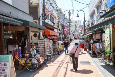 Recorrido histórico a pie por Yanaka en el casco antiguo de Tokio