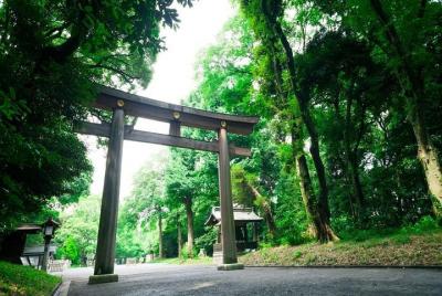 El santuario de Meiji Jingu destaca el tour con guía nacional con