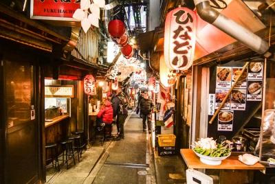 Recorrido virtual panorámico de Tokio con un guía local: tiene ga