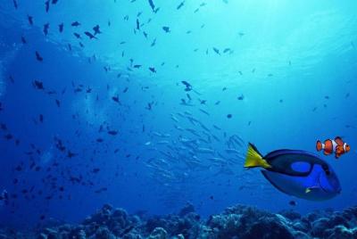 Transferencia compartida Tokyo DisneySea: de DisneySea a Tokio (O