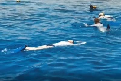 Snorkel en tierra: dos horas