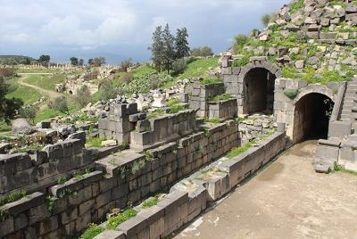 Tour privado de día completo a Umm Qais y Ajloun desde el Mar Muerto Tour privado de día completo a Umm Qais y Ajloun desde el Mar Muerto