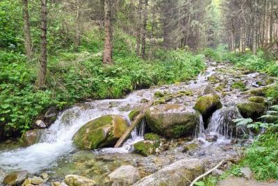 Excursión de medio día a las cascadas de Ayu-Sai Excursión de medio día a las cascadas de Ayu-Sai