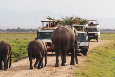 4 días Amboseli, Tsavo West Tsavo East Luxury Safari