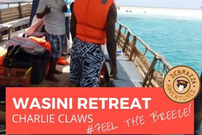 Nadar con delfines en Wasini Island.