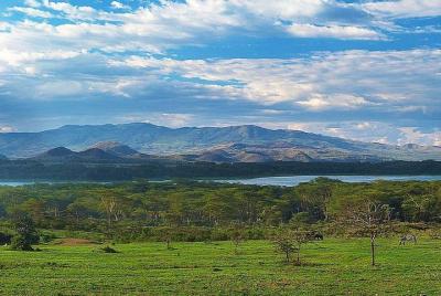 Tour privado de escala al parque nacional Hells Gate con paseo en