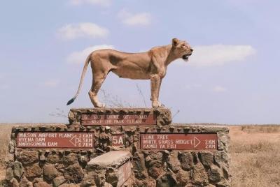 Tour de un día en Nairobi con tarifas incluidas y recogida en el 