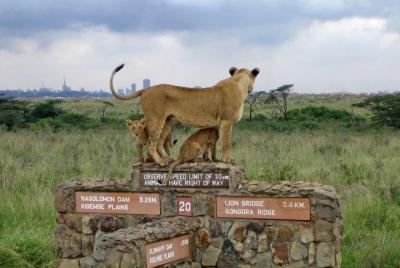 Parque Nacional de Nairobi, Orfanato de Elefantes, Centro de Jira