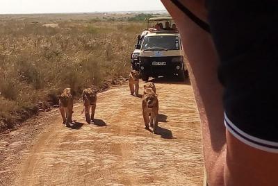Excursiones de medio día al parque nacional de Nairobi.