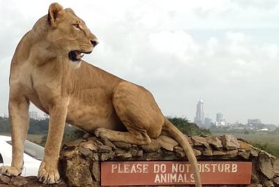  Excursión de día completo a Nairobi