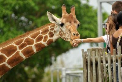 El mejor día del tour cultural maasai village, David shed-rick y 