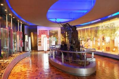 3 horas Museo Nacional de Nairobi