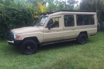 Bush Safaris y traslados al aeropuerto