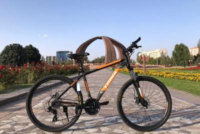 Tour privado de medio día en bicicleta por Bishkek Tour privado de medio día en bicicleta por Bishkek