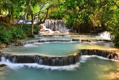 Experiencia de bambú de día completo con clases de cocina y casca