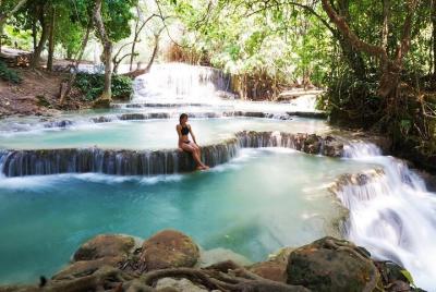 Excursión de un día a la cascada Kuangsi y al santuario del oso: 