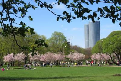El recorrido por Riga: a un paso del casco antiguo