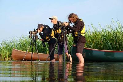 BIRDWATCH - Tour de canoa guiado en Cabo Vente, Parque Regional d